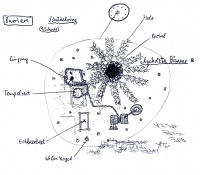 Orilo-Plan.jpg